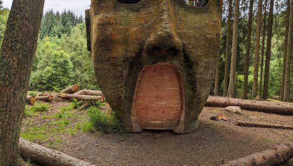image from Kielder Campsite